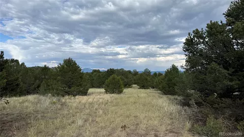 21 St Trl, Cotopaxi, CO 81223 photo 5