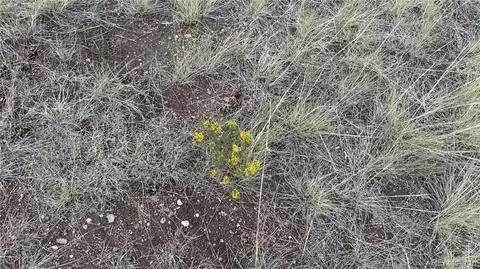 21 St Trl, Cotopaxi, CO 81223 photo 11