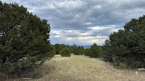 21 St Trl, Cotopaxi, CO 81223 photo 6