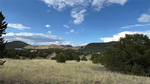 21 St Trl, Cotopaxi, CO 81223 photo 12
