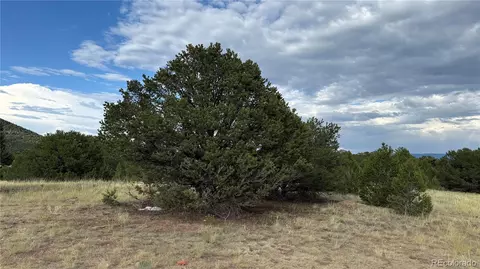 21 St Trl, Cotopaxi, CO 81223 photo 14