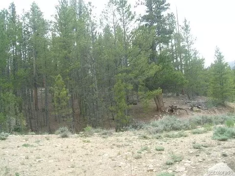 67 Lodgepole Dr, Leadville, CO 80461