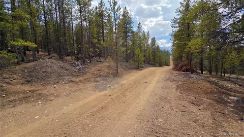 67 Lodgepole Dr, Leadville, CO 80461