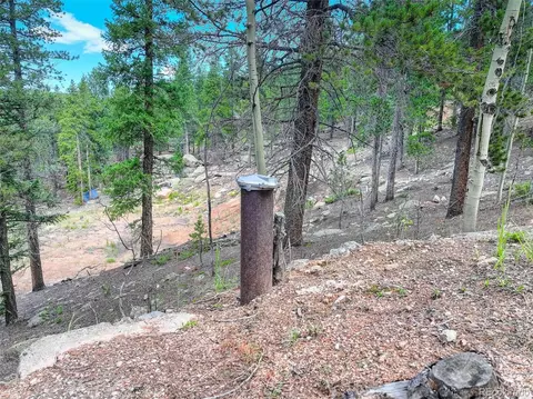 11275 Bear Run Trl, Conifer, CO 80433 photo 18