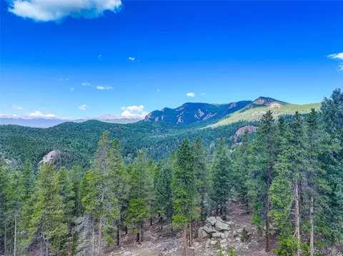 11275 Bear Run Trl, Conifer, CO 80433 photo 5