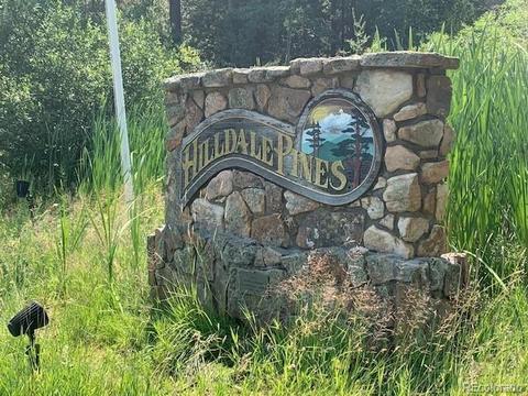 10156 Horizon View Dr, Morrison, CO 80465 photo 15