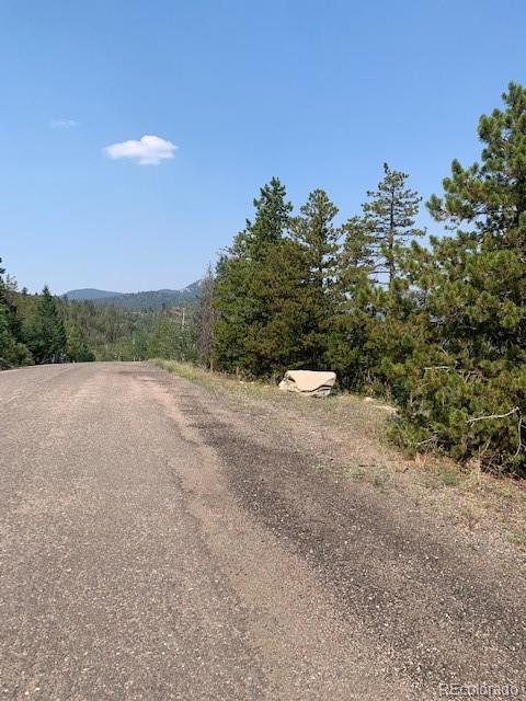 10156 Horizon View Dr, Morrison, CO 80465 photo 12