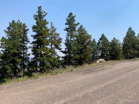 10156 Horizon View Dr, Morrison, CO 80465 photo 14