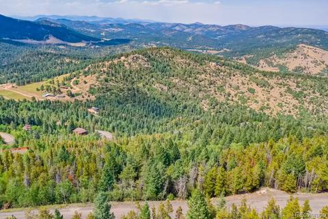 10156 Horizon View Dr, Morrison, CO 80465 photo 2