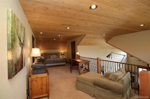 72 Meadow Trl, Fraser, CO 80442 photo 24
