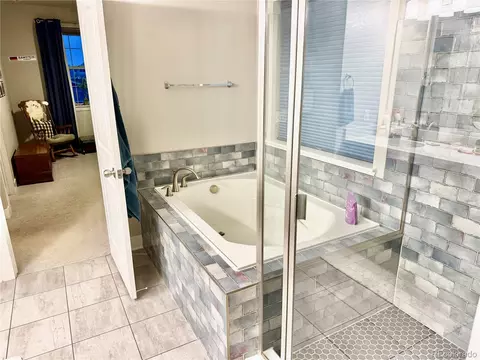 Bath - 10350 E 57th Pl, Denver, CO 80238 photo 1 of 5