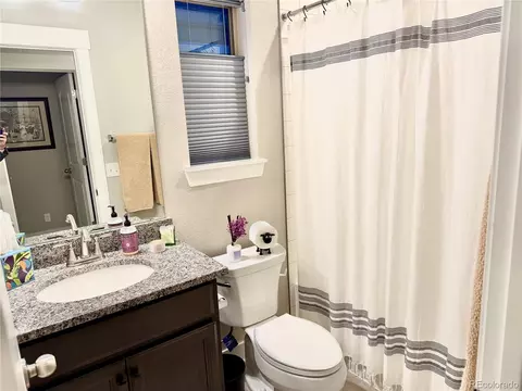 Bath - 10350 E 57th Pl, Denver, CO 80238 photo 3 of 5