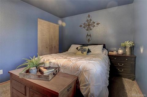107 Rainbow Ct, Divide, CO 80814 photo 9