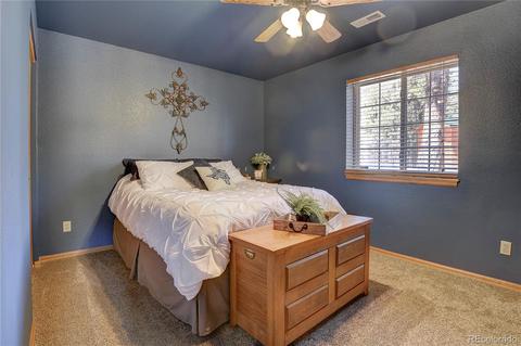107 Rainbow Ct, Divide, CO 80814 photo 8