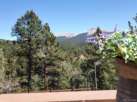 107 Rainbow Ct, Divide, CO 80814 photo 25