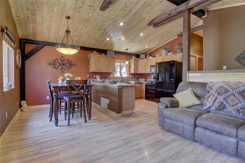 107 Rainbow Ct, Divide, CO 80814 photo 16
