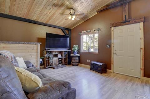 107 Rainbow Ct, Divide, CO 80814 photo 18