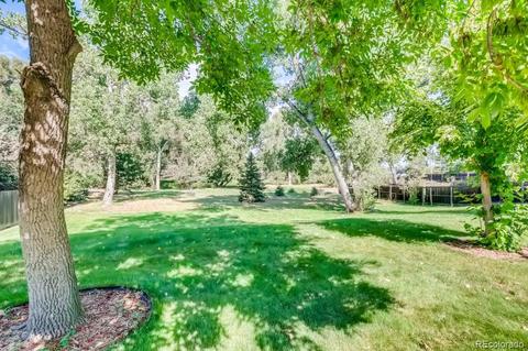 4385 Everett St, Wheat Ridge, CO 80033 photo 30
