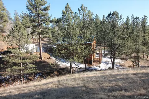 11845 S Stallion Dr, Pine, CO 80470 photo 26