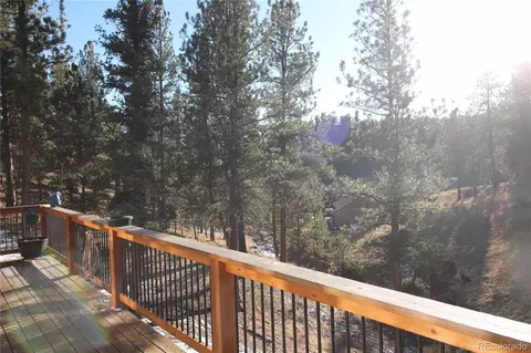 11845 S Stallion Dr, Pine, CO 80470 photo 23