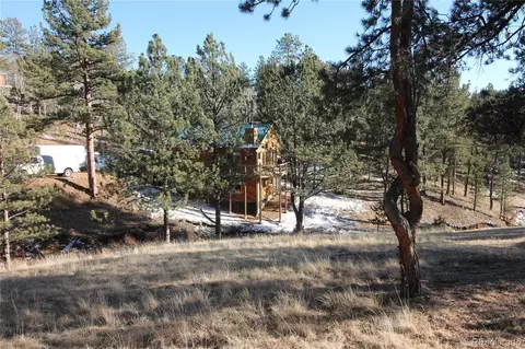 11845 S Stallion Dr, Pine, CO 80470 photo 25