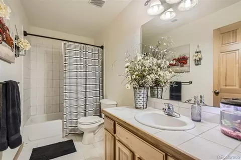 213 N Circle Dr, Bailey, CO 80421 photo 21