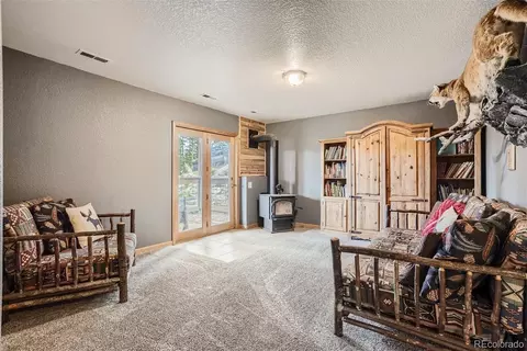 213 N Circle Dr, Bailey, CO 80421 photo 18