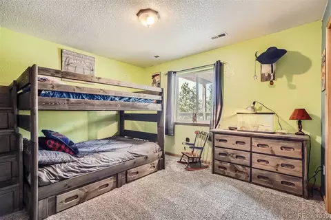 213 N Circle Dr, Bailey, CO 80421 photo 20