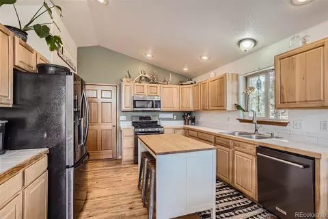 213 N Circle Dr, Bailey, CO 80421 photo 6