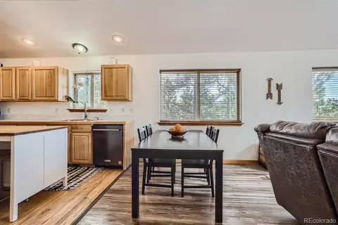 213 N Circle Dr, Bailey, CO 80421 photo 8