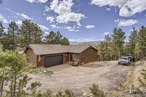 213 N Circle Dr, Bailey, CO 80421 photo 4