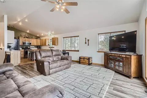 213 N Circle Dr, Bailey, CO 80421 photo 10