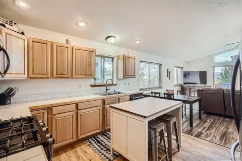 213 N Circle Dr, Bailey, CO 80421 photo 7