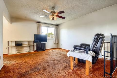 4686 E 115th Ct, Thornton, CO 80233 photo 4