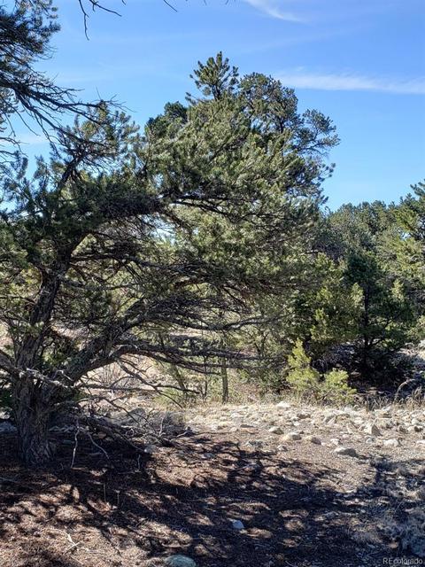 26 Mill Run Rd, Mosca, CO 81146 photo 2