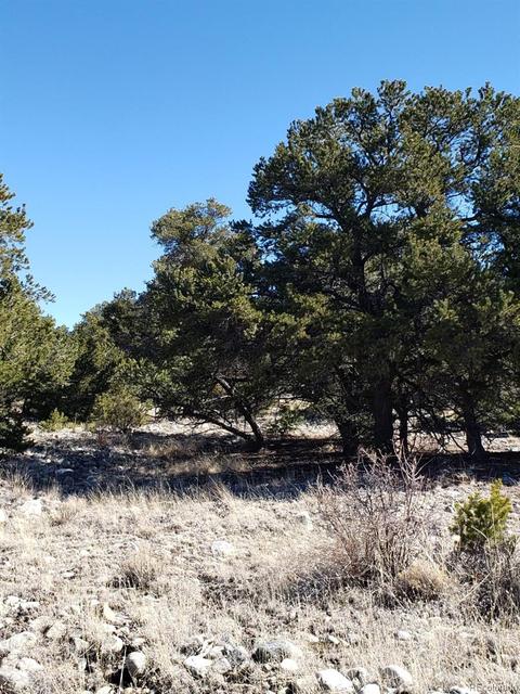 26 Mill Run Rd, Mosca, CO 81146 photo 7