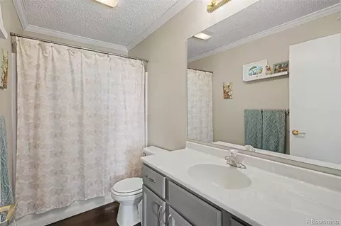 Bath - 1277 S Indianfield St, Bennett, CO 80102 photo 3 of 3