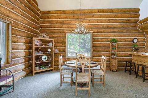 439 Bell Rd, Shawnee, CO 80475 photo 10