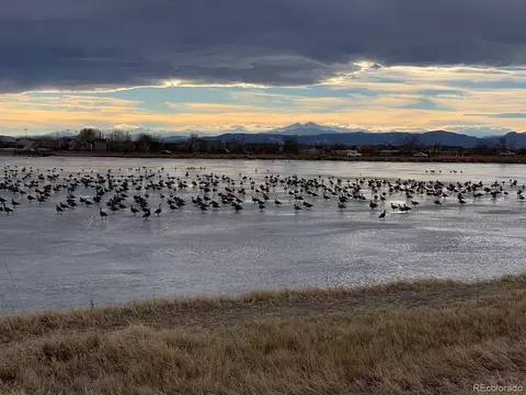 View/Area - 1756 Barefoot Dr, Windsor, CO 80550 photo 10 of 10