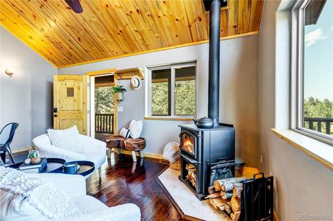 1108 S Pine Dr, Bailey, CO 80421 photo 11