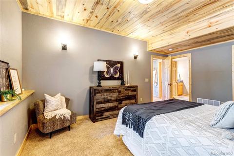 1108 S Pine Dr, Bailey, CO 80421 photo 27
