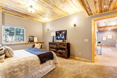 1108 S Pine Dr, Bailey, CO 80421 photo 29