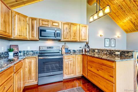 1108 S Pine Dr, Bailey, CO 80421 photo 17