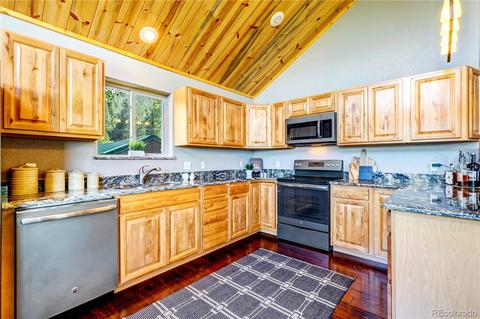 1108 S Pine Dr, Bailey, CO 80421 photo 16