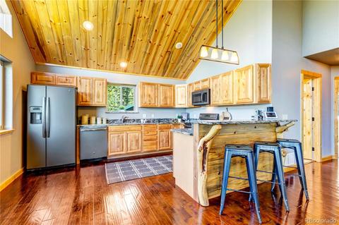 1108 S Pine Dr, Bailey, CO 80421 photo 15