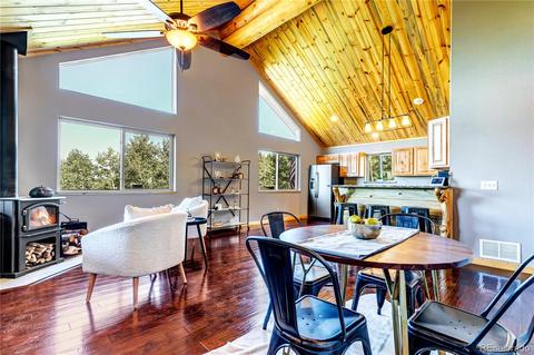 1108 S Pine Dr, Bailey, CO 80421 photo 9