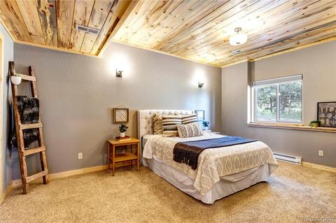1108 S Pine Dr, Bailey, CO 80421 photo 26