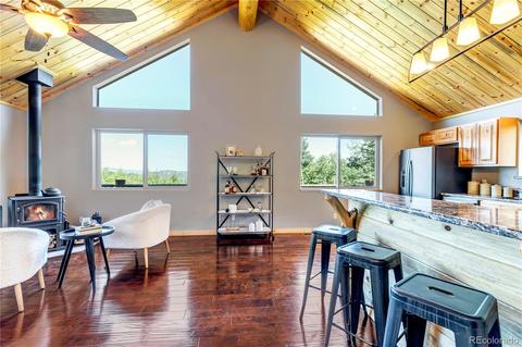 1108 S Pine Dr, Bailey, CO 80421 photo 14
