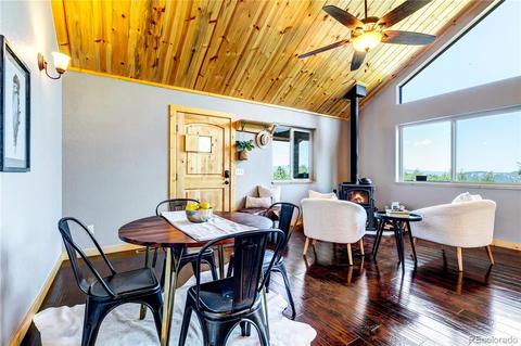 1108 S Pine Dr, Bailey, CO 80421 photo 13