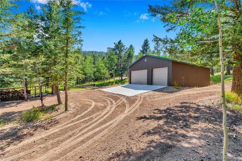 1108 S Pine Dr, Bailey, CO 80421 photo 35